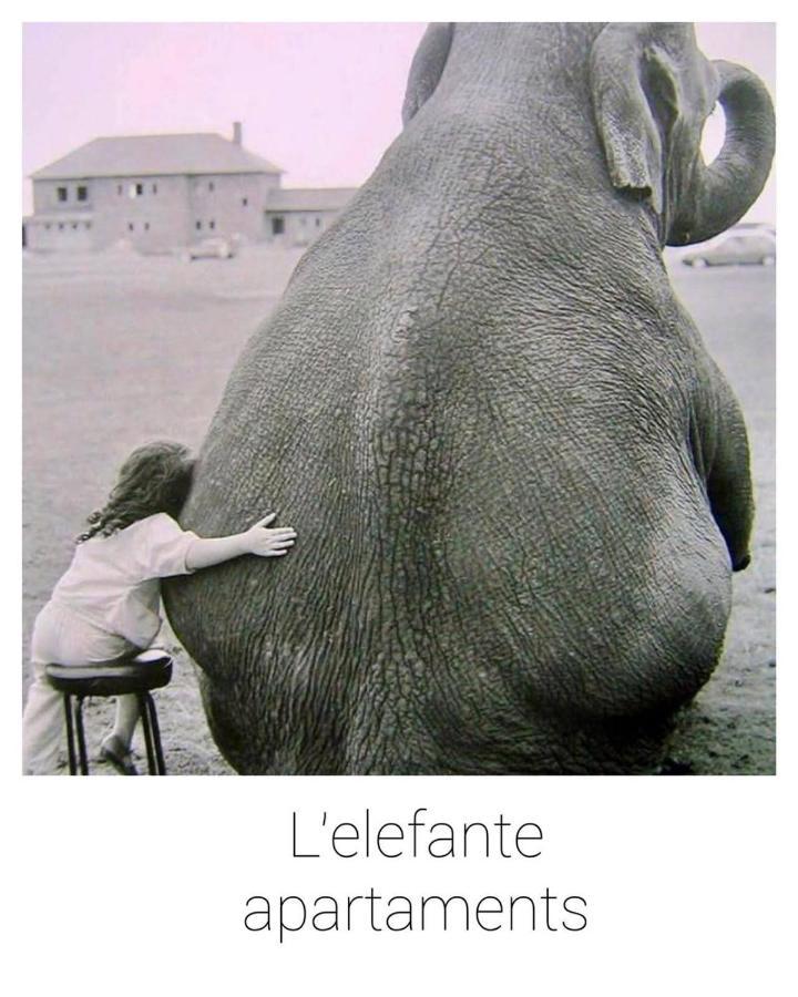 Elefante Appartamenti ペスカーラ エクステリア 写真